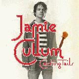 Jamie Cullum Catching Tales