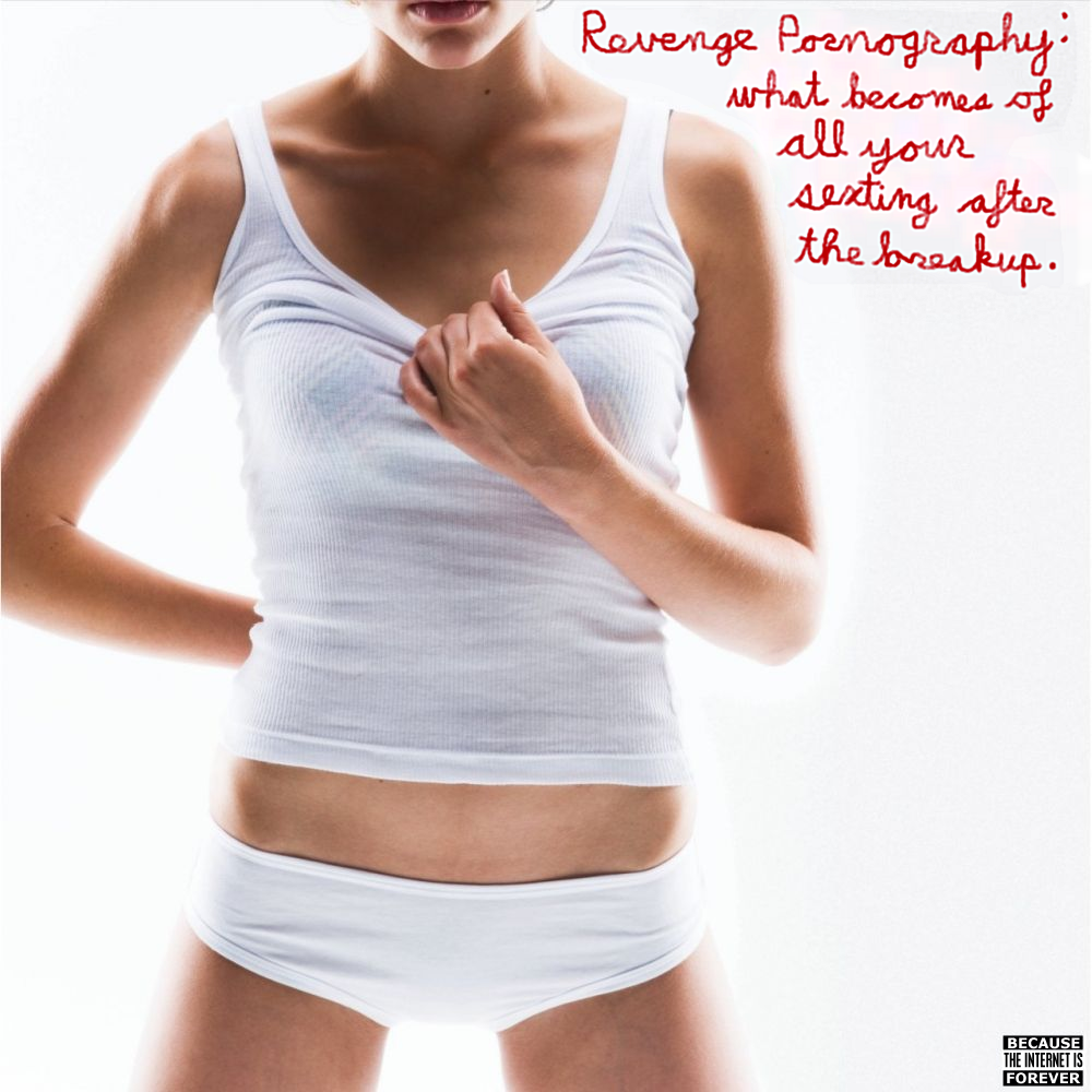 Album cover parody of She Wants Revenge by She Wants Revenge